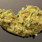 NEW BACTH !  OG Kush - 20% THC -  Special Price $100 oz!