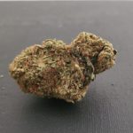 New Batch! MASTER KUSH - Special Price $100  oz!