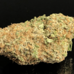 GREASE MONKEY - Special Price $115 oz!