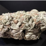 NEW !GAS MASK -special $165 oz!