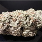 NEW !GAS MASK -special $135  oz!