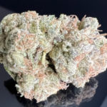 New! DONKEY BUTTER  - 31%THC - Premium $240 oz!
