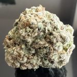 New! GELATO  GLUE 25-32%THC - Special Price $90 1oz