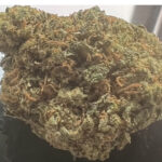 NEW ! GMO COOKIES up to 24% THC SPECIAL PRICE $90 oz !