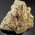 New Batch ! ANIMAL COOKIES  upto  20%-27%THC  special  price $135 oz !