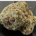 NEW  BATCH !  BLUE BERRY    upto 20%  THC - Special Price $115 oz!