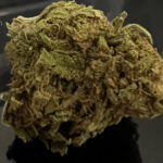 New ! GASTRO POP  ! 27_29% THC - Special Price $90 1oz